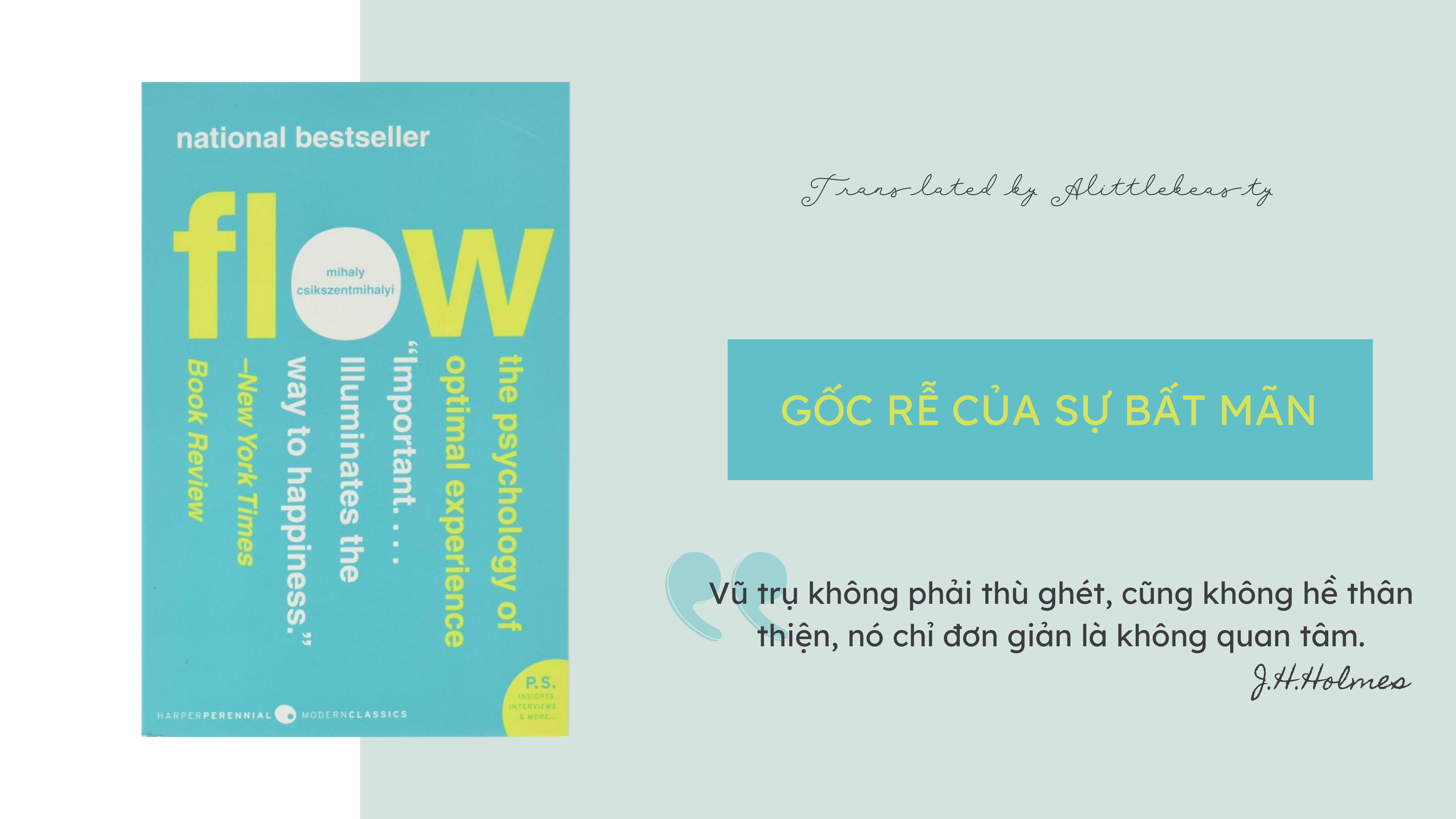 Flow by Mihaly Csikszentmihalyi